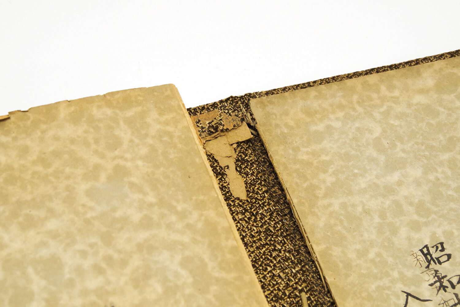 満州時代の古いアルバムを次世代へ