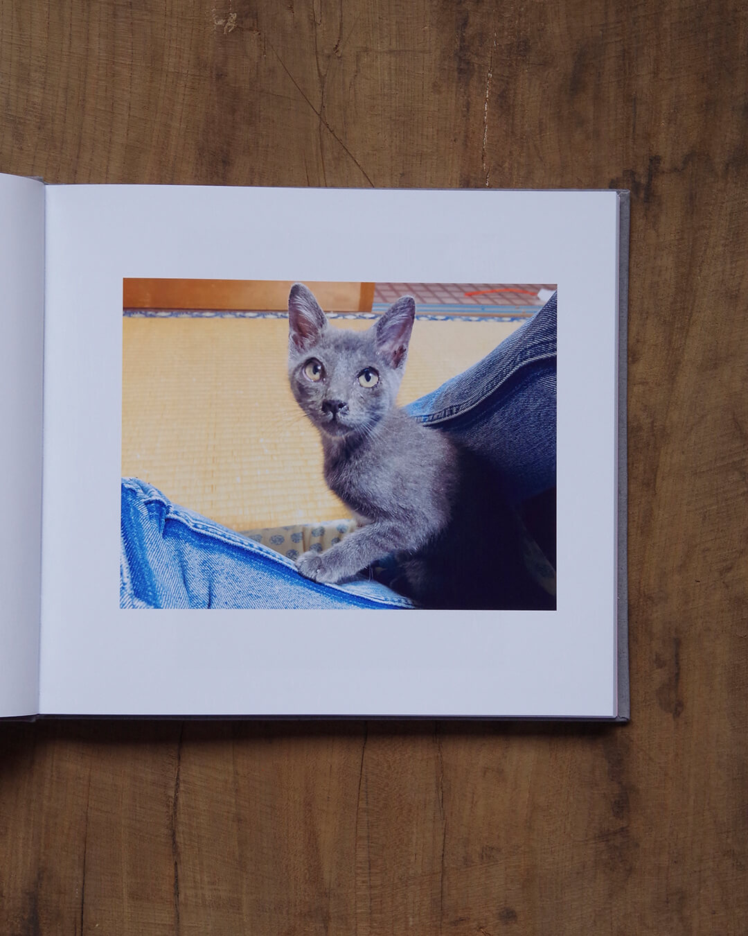 ペットとの思い出を綴るオーダーメイドアルバム