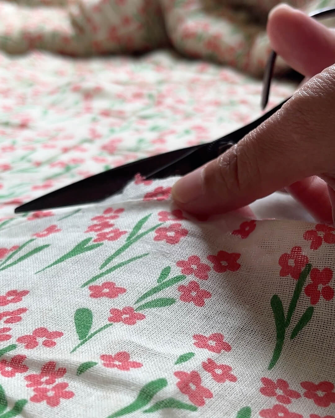 ペットとの思い出のアルバム