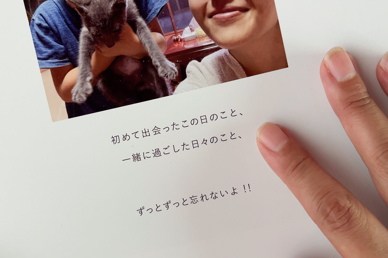 ペットとの思い出のアルバム