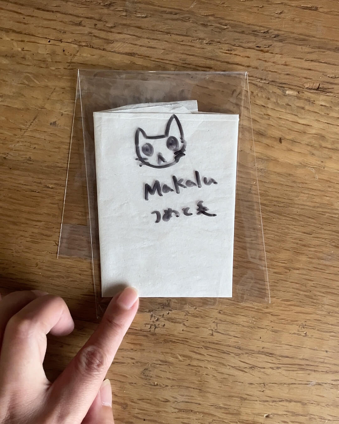 ペットとの思い出のアルバム