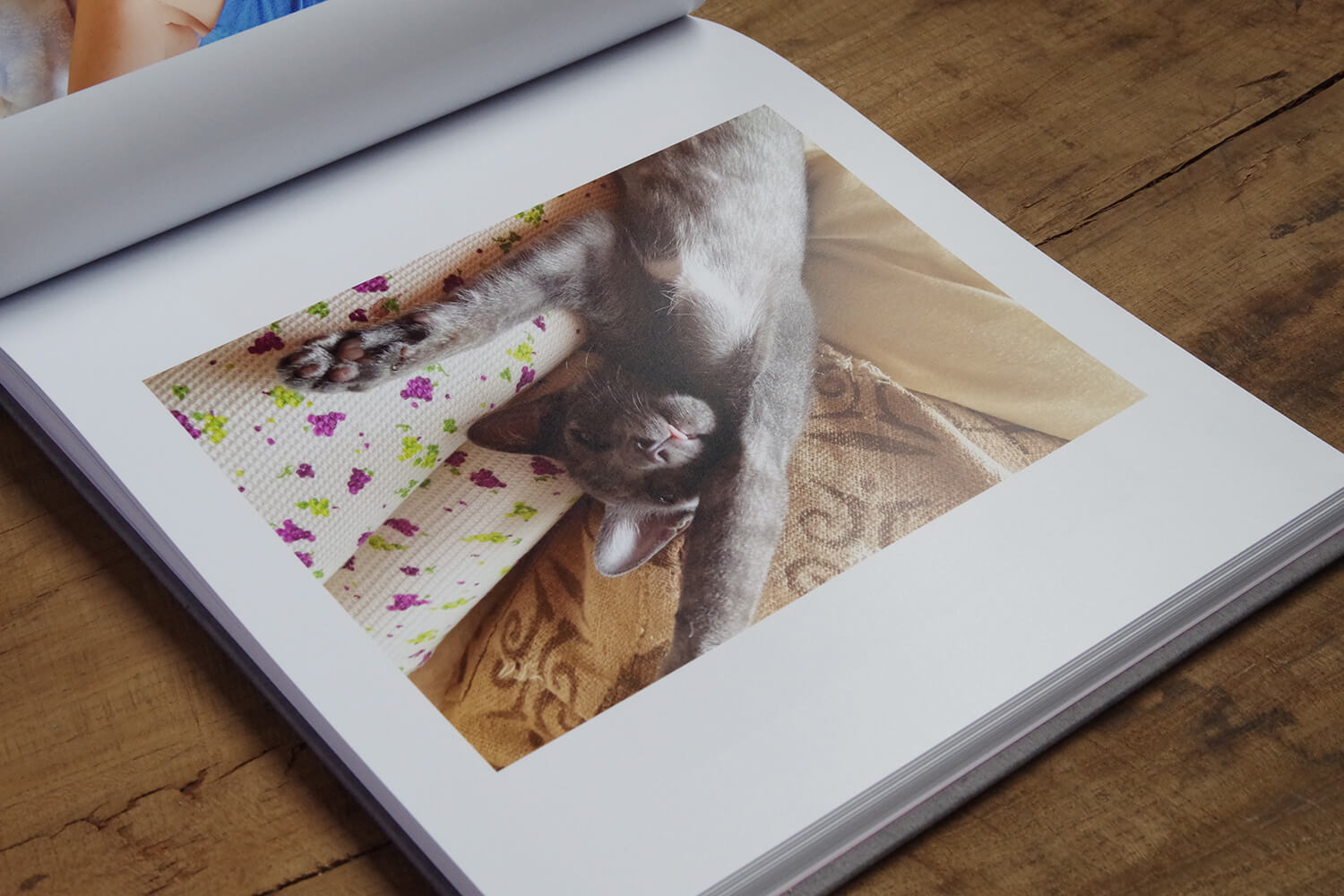 ペットとの思い出のアルバム