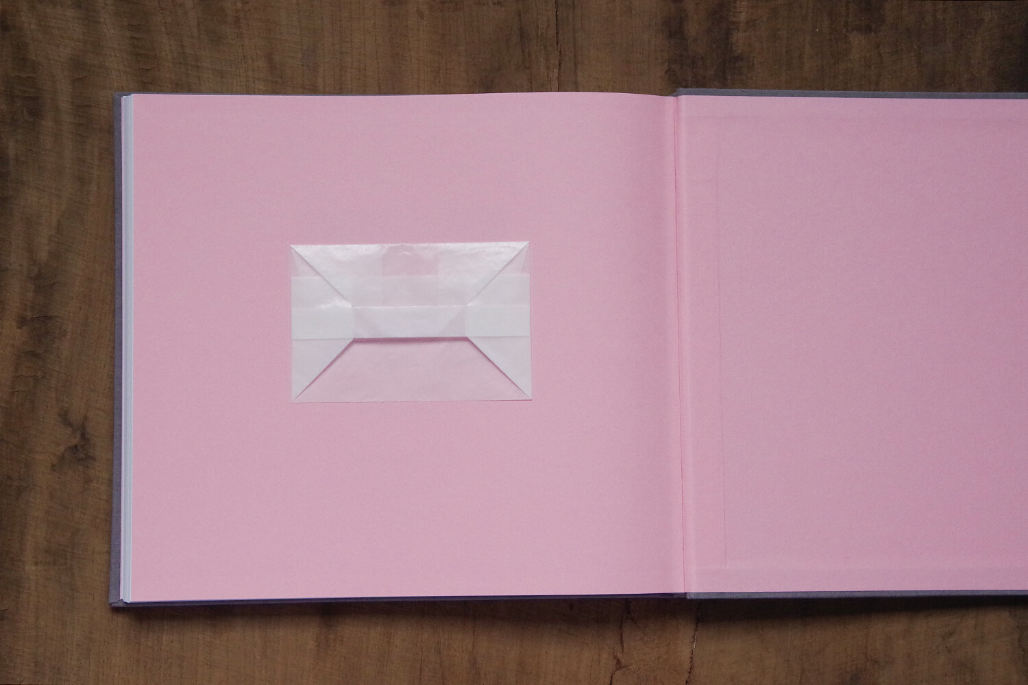 ペットとの思い出のアルバム